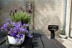 terras2